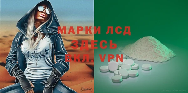 PSILOCYBIN Алзамай