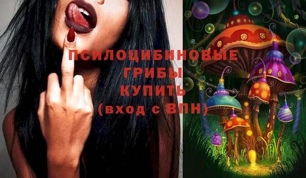 PSILOCYBIN Алзамай