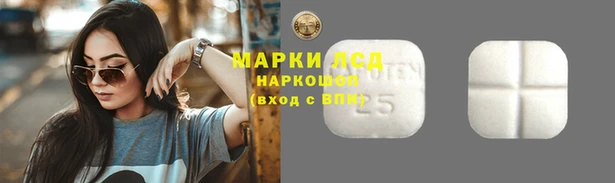 PSILOCYBIN Алексин