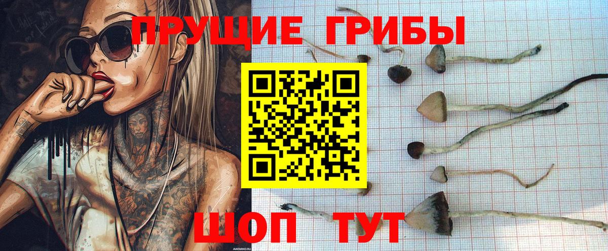 Галлюциногенные грибы Cubensis  Вход с VPN  Лабинск 